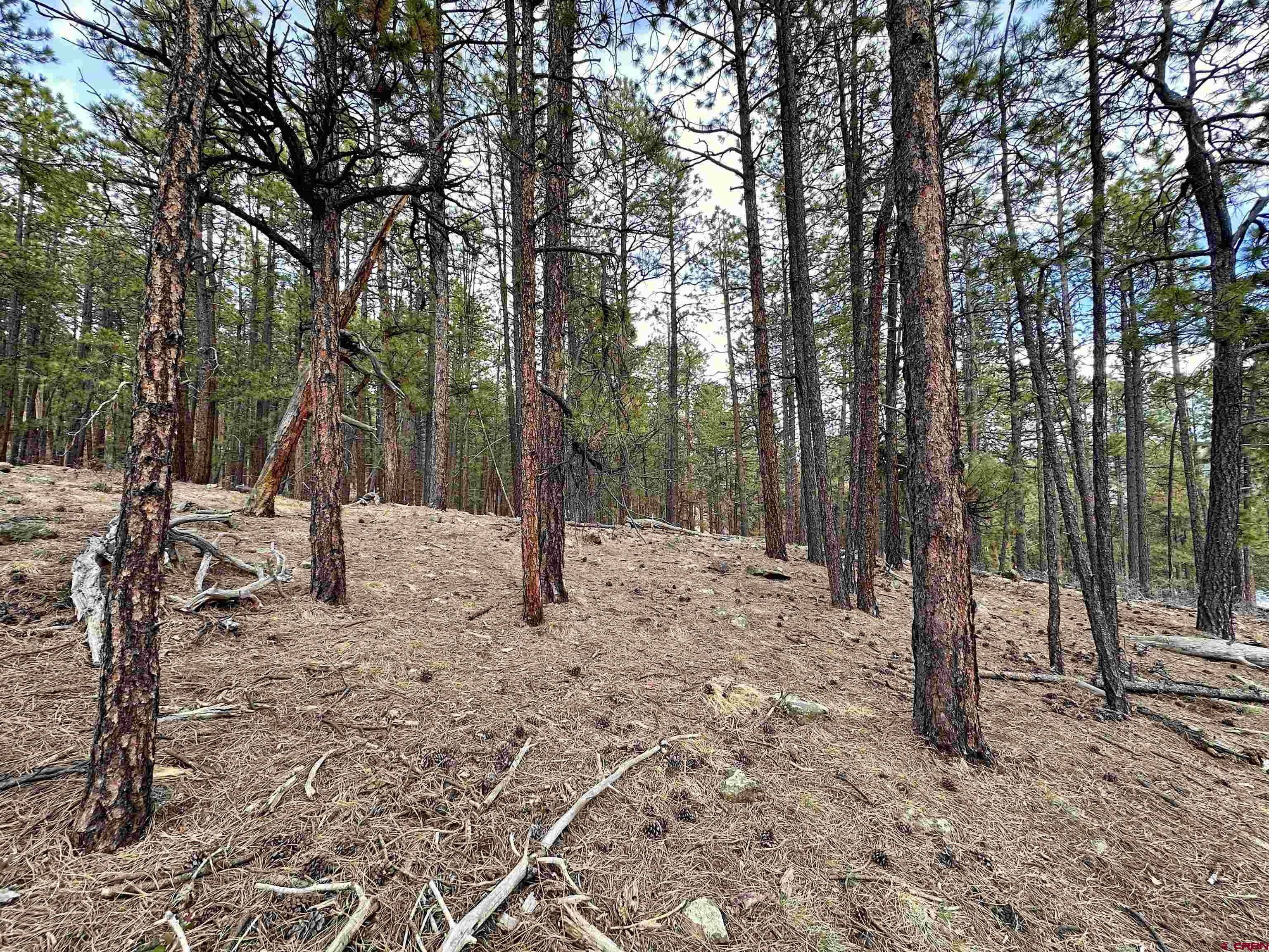 183 Timber Drive Bayfield, CO 81122 - Photo 5 of 18 a view of outdoor space with sink