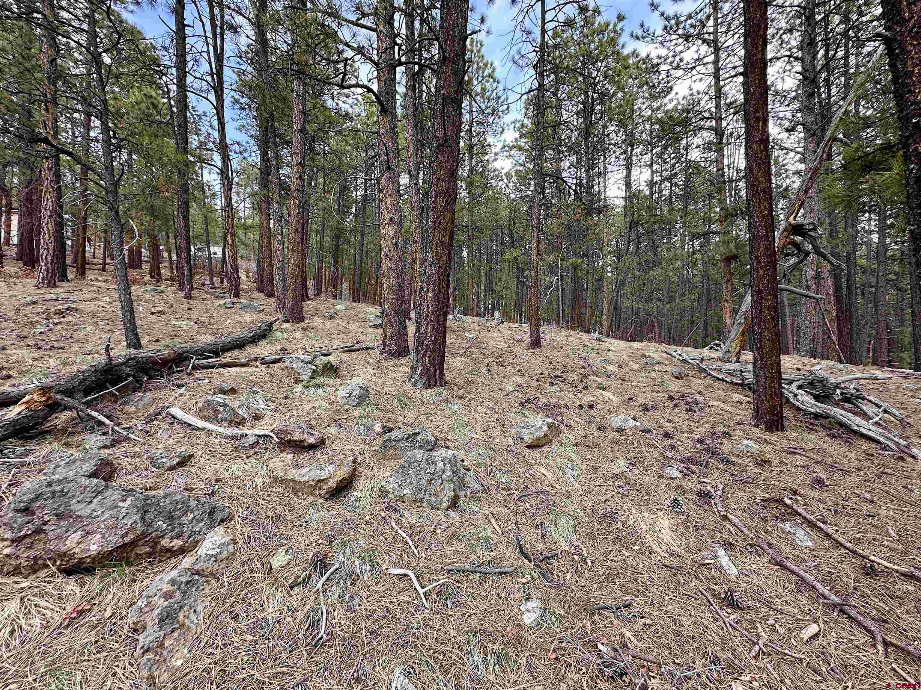 183 Timber Drive Bayfield, CO 81122 - Photo 6 of 18