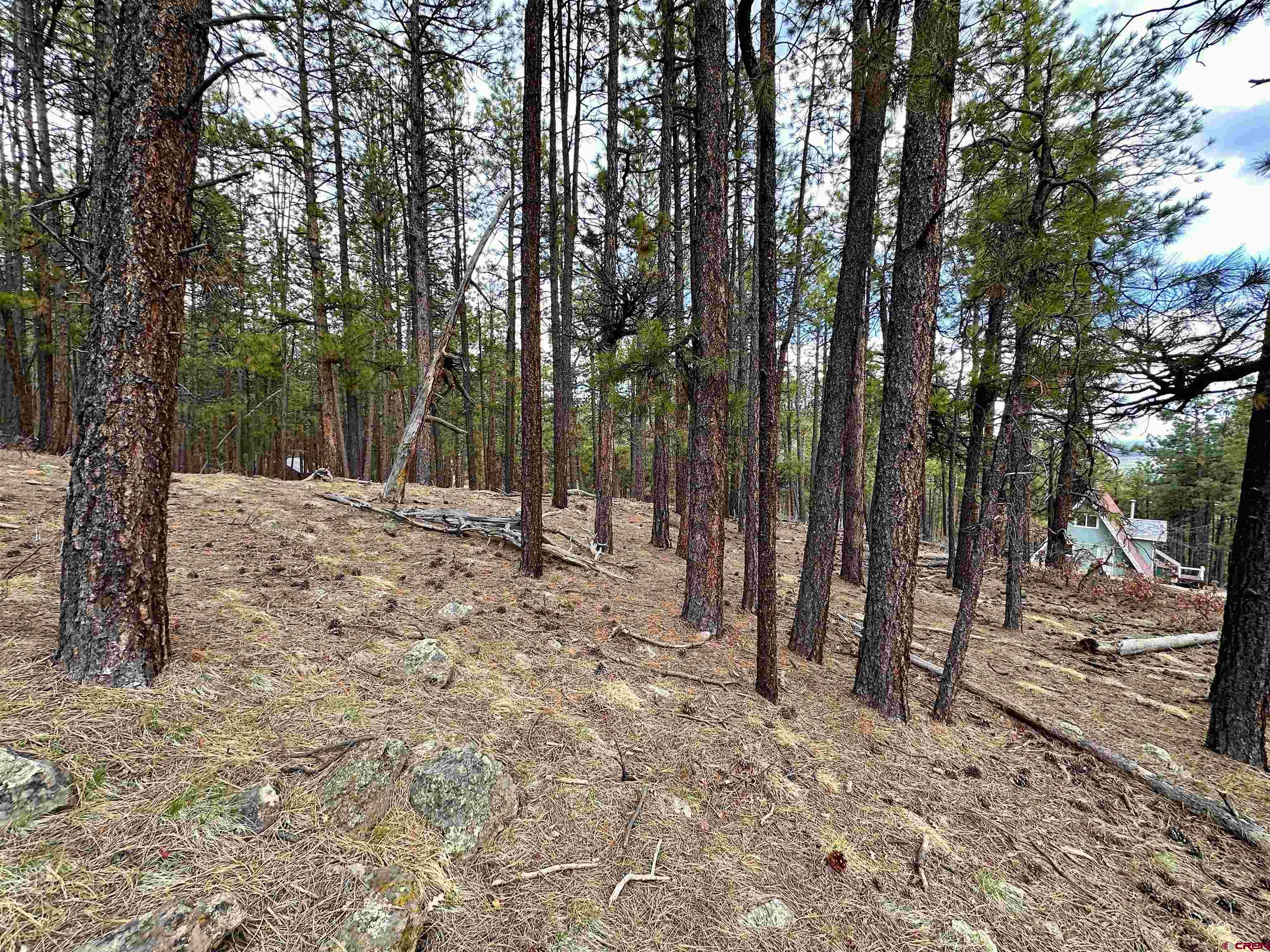 183 Timber Drive Bayfield, CO 81122 - Photo 7 of 18 a view of outdoor space with trees