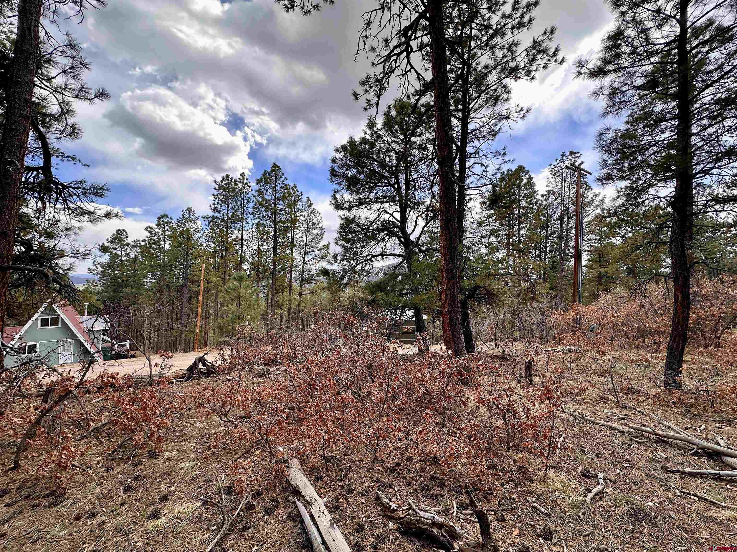 183 Timber Drive Bayfield, CO 81122 - Photo 9 of 18 a view of outdoor space with lots of trees