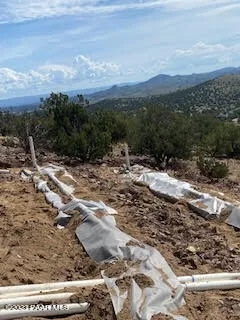 a view of a backyard of the house