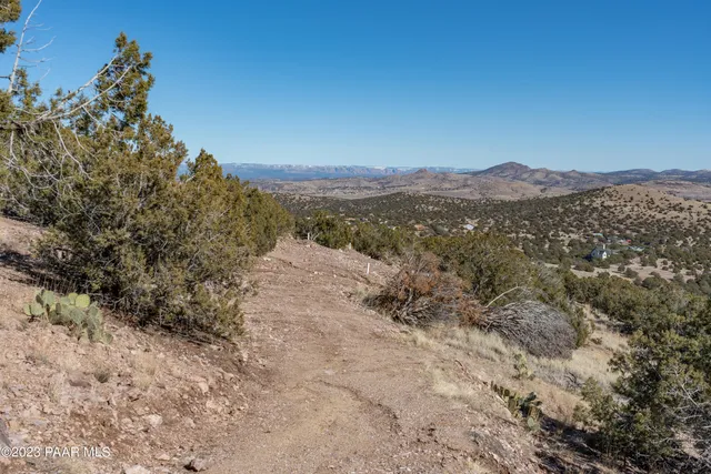 a view of a dry yard with mountains in the background