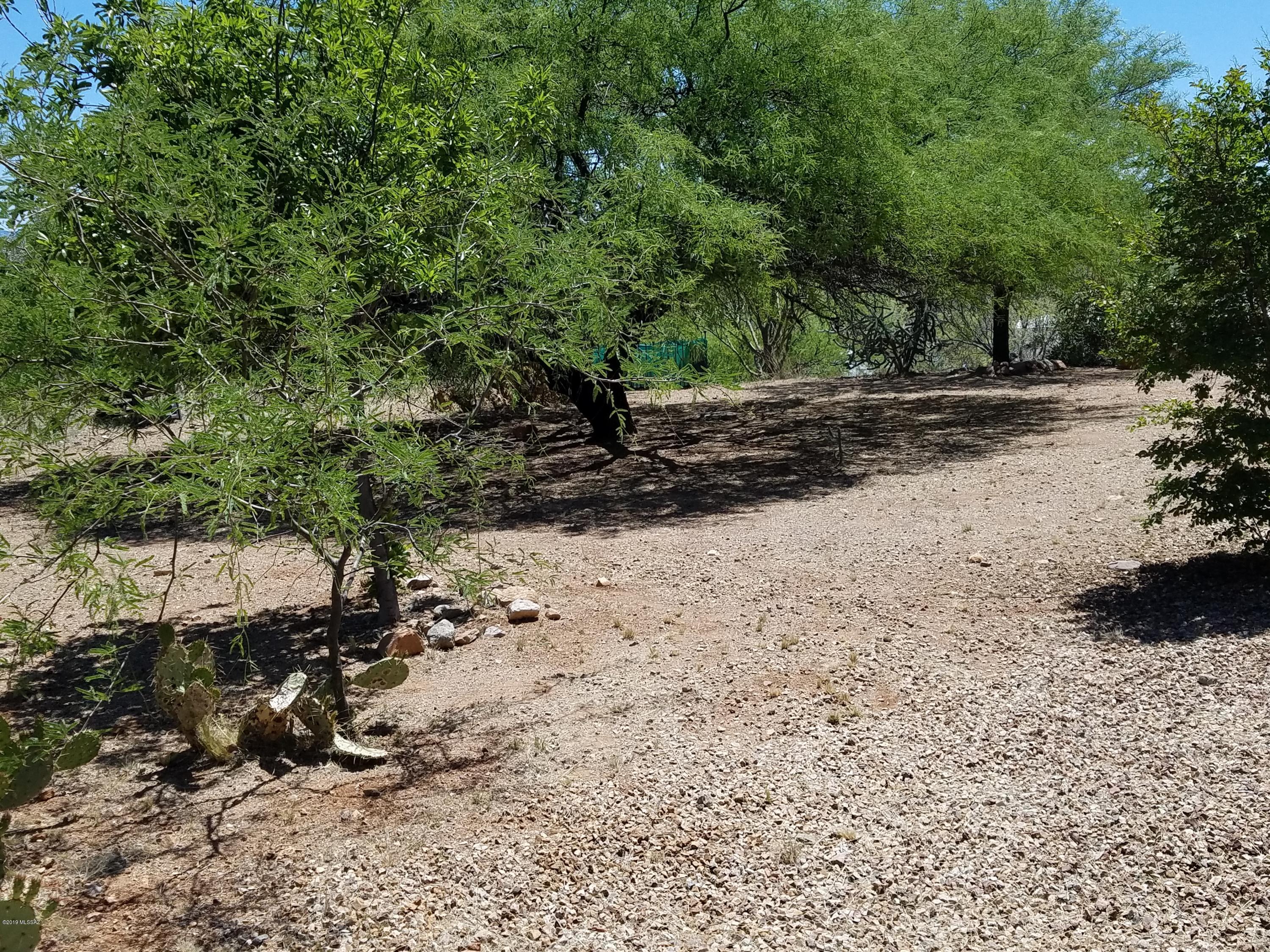 1175 Avenida Leon Rio Rico, AZ 85648 - Photo 6 of 24 a view of a yard with plants and trees