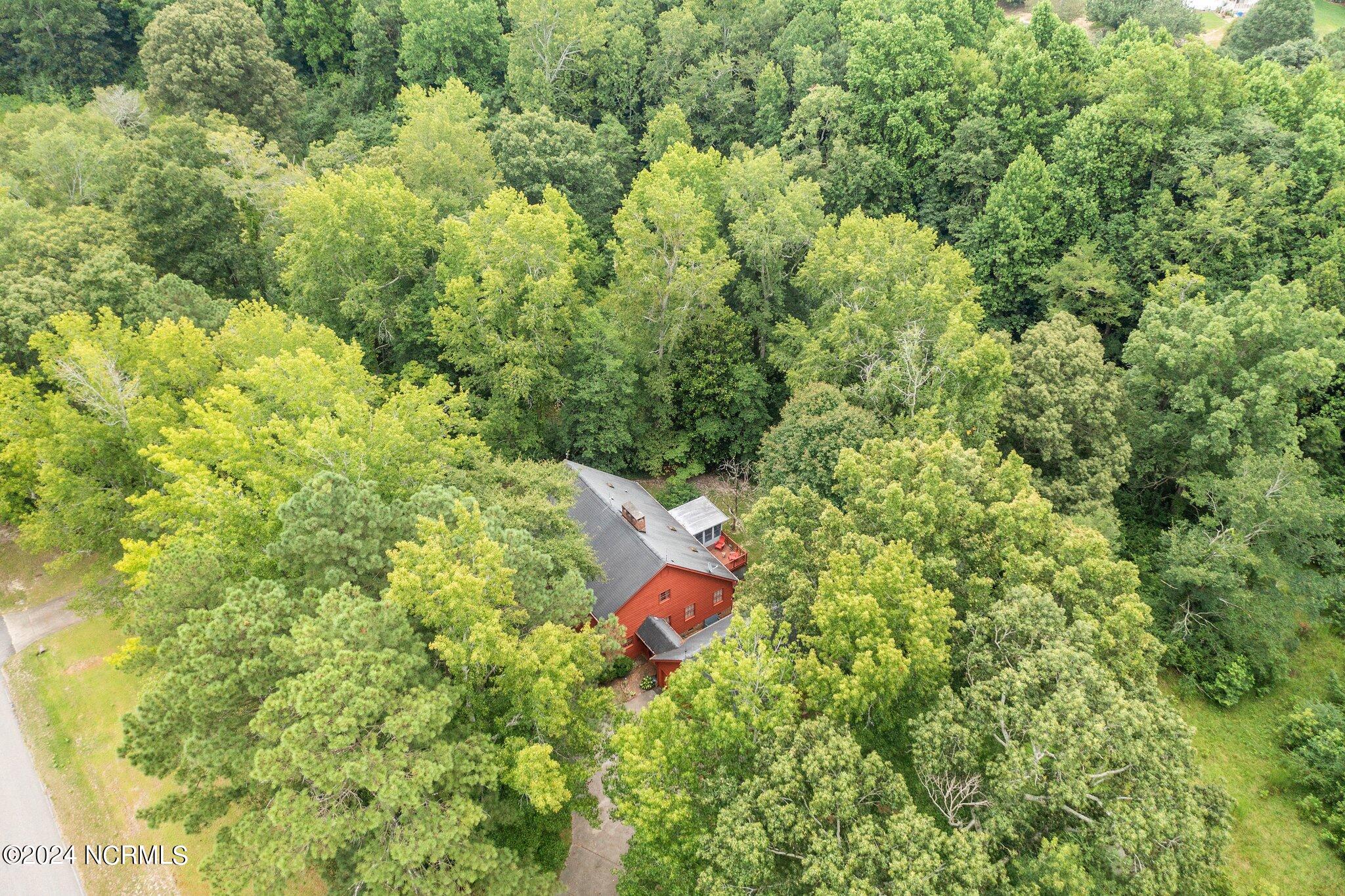 3090 Langdon Road Angier, NC 27501 - Photo 41 of 41 3-web-or-mls-DJI_0662