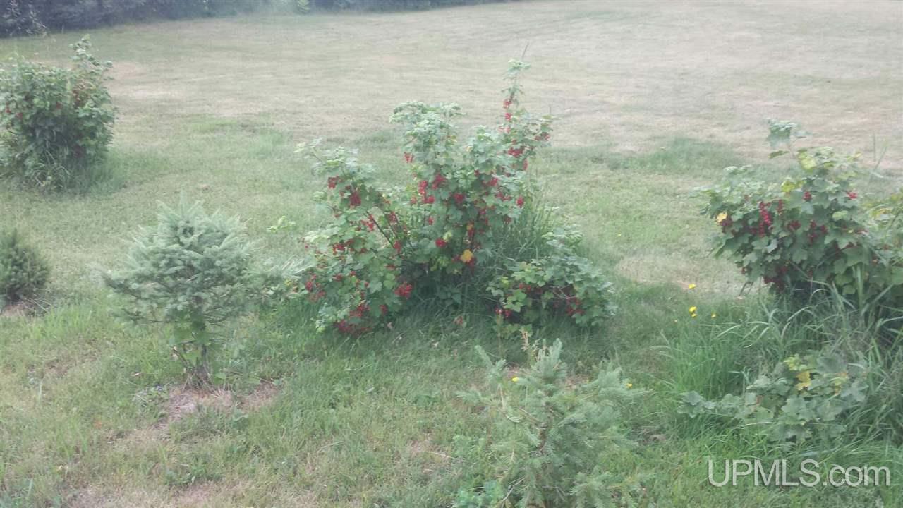1010 Southeast Co Road Ishpeming, MI 49849 - Photo 8 of 25