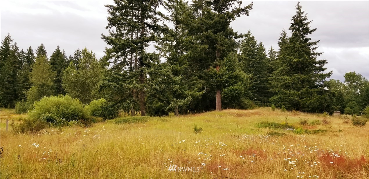 14315 Solberg Road Southeast Yelm, WA 98597 - Photo 22 of 23 Gallery Image 22
