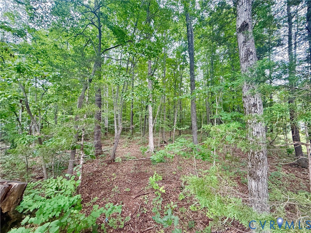 Lot 1 Forest Chapel Road Pamplin, VA 23958 - Photo 1 of 5 Wooded property featuring mature trees and natural