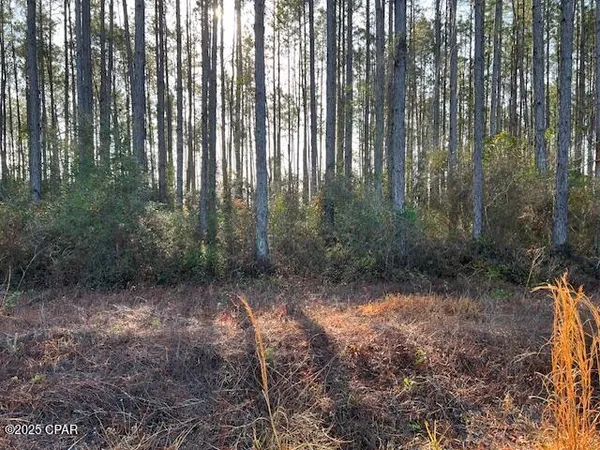 $32,000 | 12 Douglas Landing Road, Wewahitchka, FL 32465