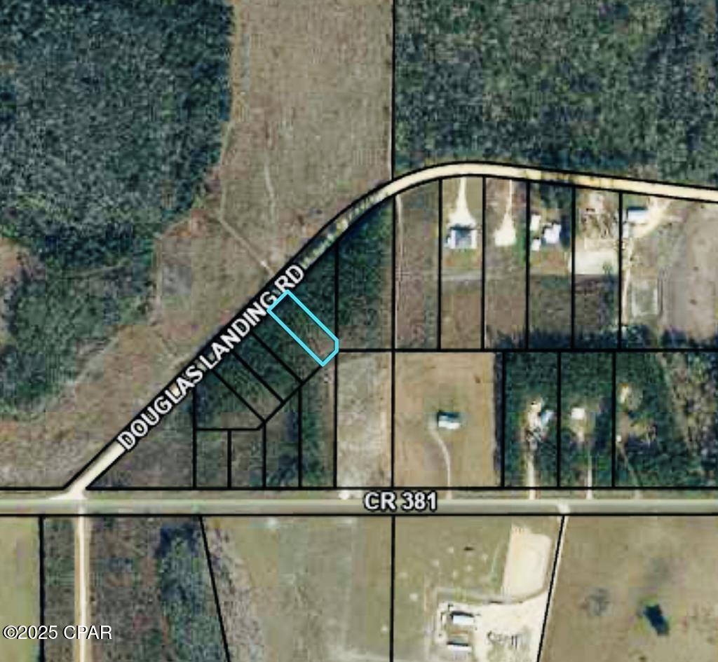 12 Douglas Landing Road Wewahitchka, FL 32465 - Photo 2 of 8