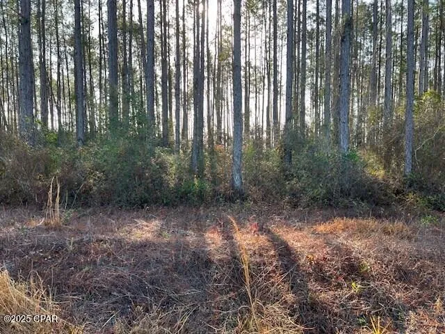 $34,900 | 12 Douglas Landing Road, Wewahitchka, FL 32465