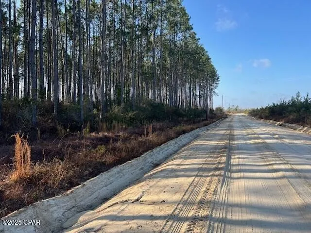 $34,900 | 12 Douglas Landing Road, Wewahitchka, FL 32465