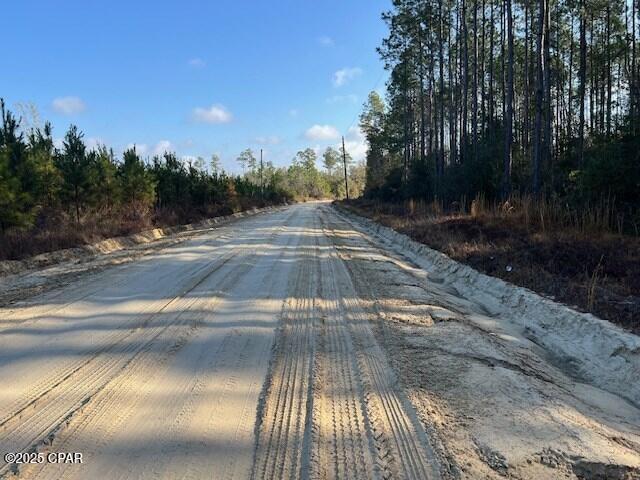 12 Douglas Landing Road Wewahitchka, FL 32465 - Photo 5 of 8