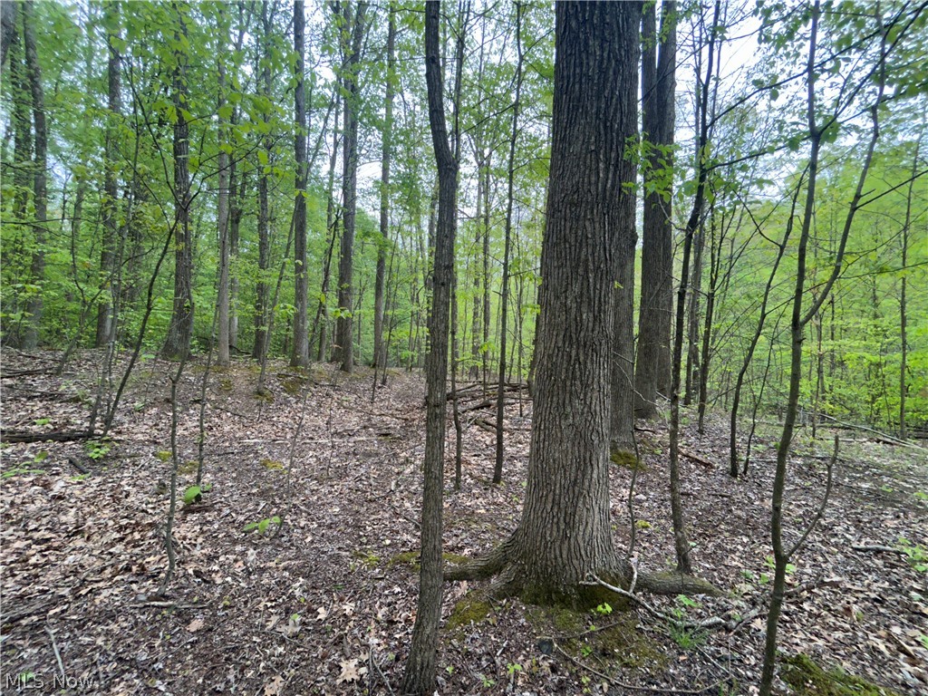 Wesley Chapel Mount Mount Perry, OH 43760 - Photo 11 of 15