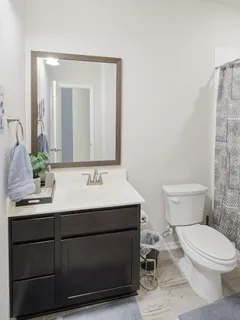 a bathroom with a sink toilet and mirror