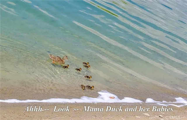 a black and white photo of a book