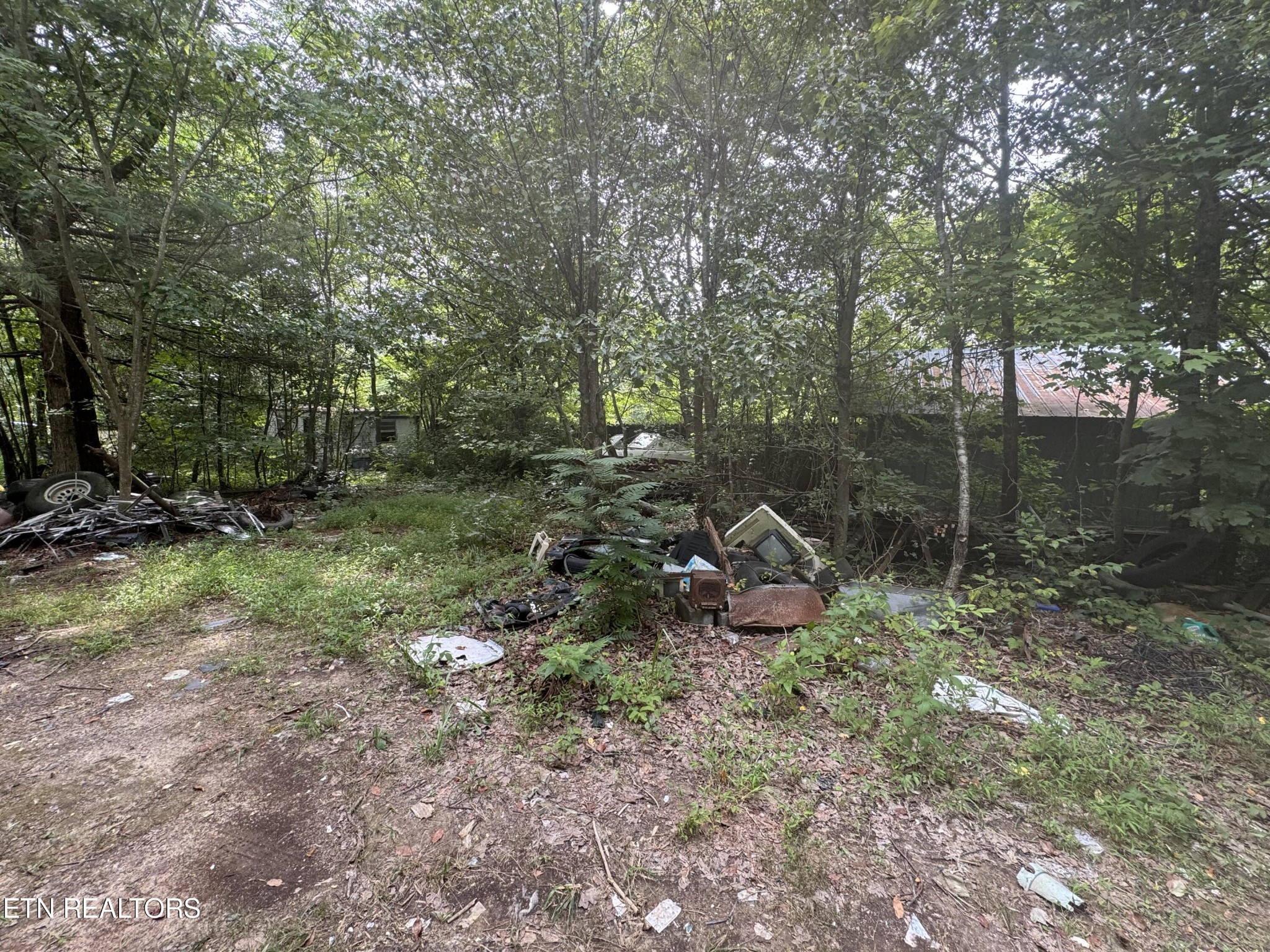77167720 Bell Stanley Road Powell, TN 37849 - Photo 3 of 6 Gallery Image 3