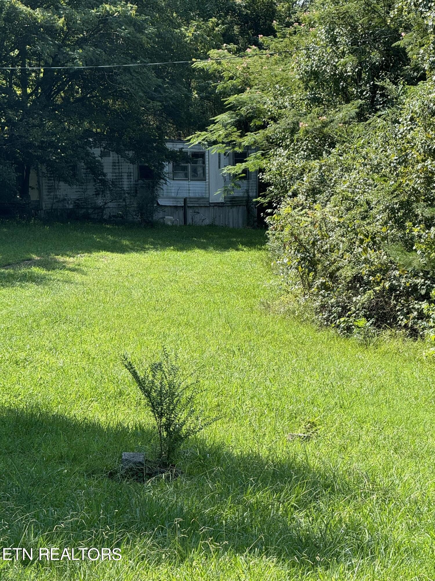 77167720 Bell Stanley Road Powell, TN 37849 - Photo 5 of 6 Gallery Image 5
