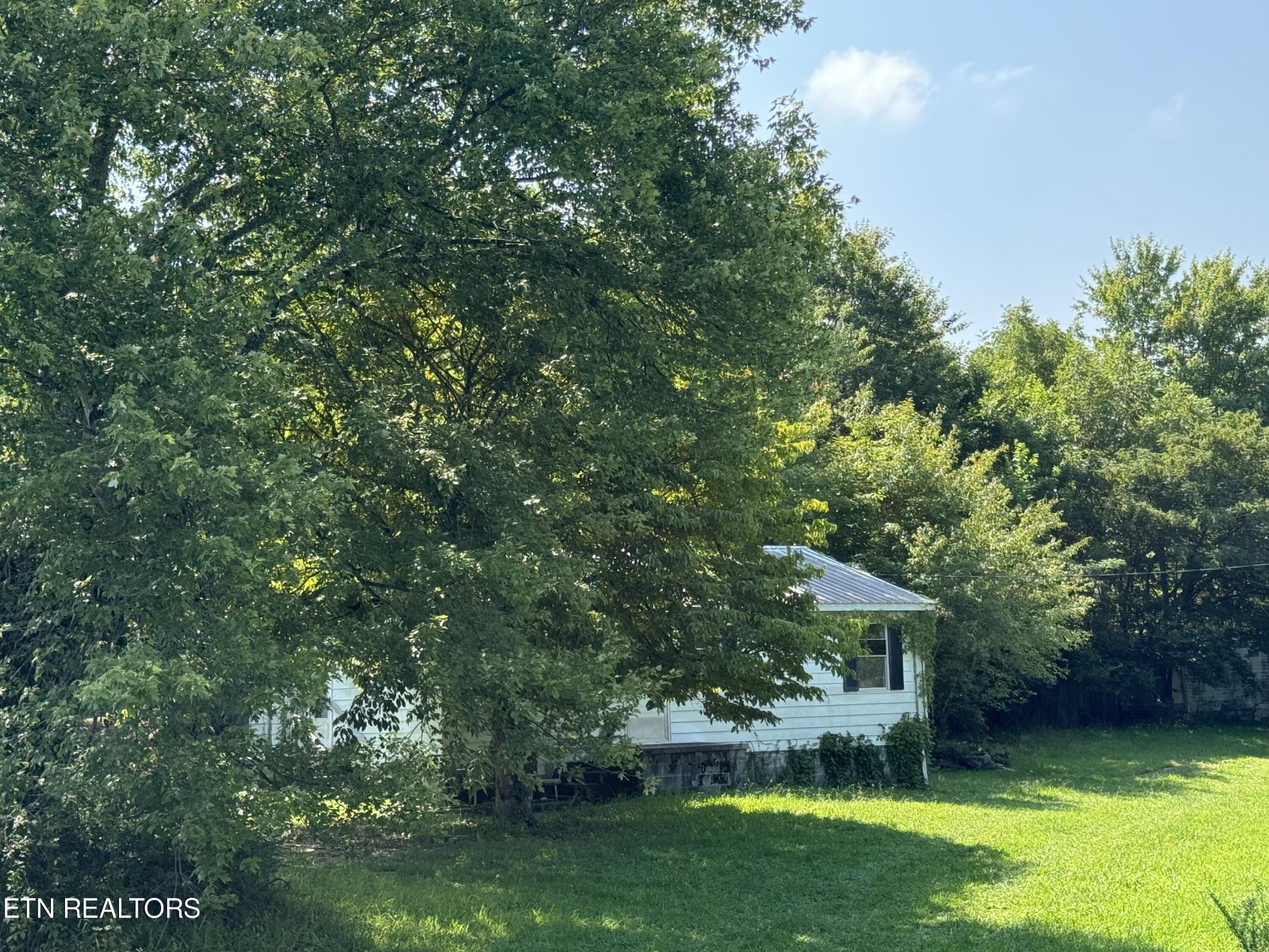 77167720 Bell Stanley Road Powell, TN 37849 - Photo 6 of 6 Gallery Image 6