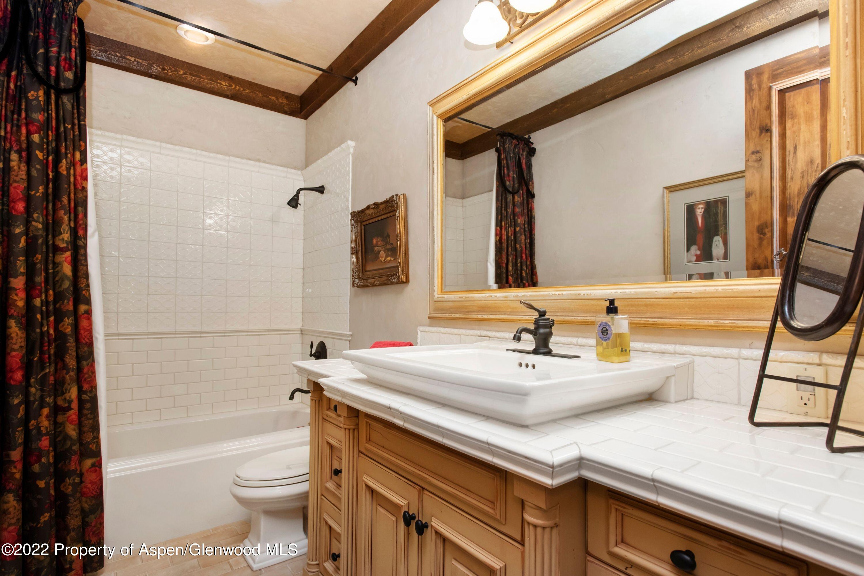 64 Spruce Ridge Lane Snowmass Village, CO 81615 - Photo 19 of 37 a bathroom with a sink a toilet a mirror and shower
