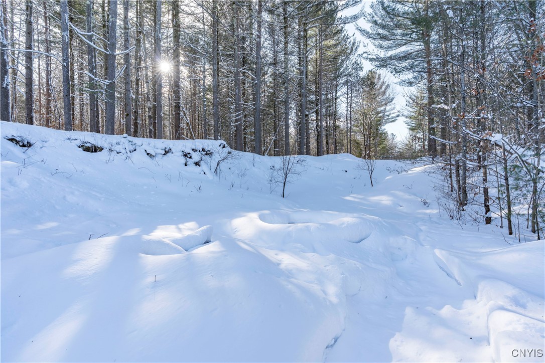 2438 State Street Harrisville, NY 13648 - Photo 30 of 35