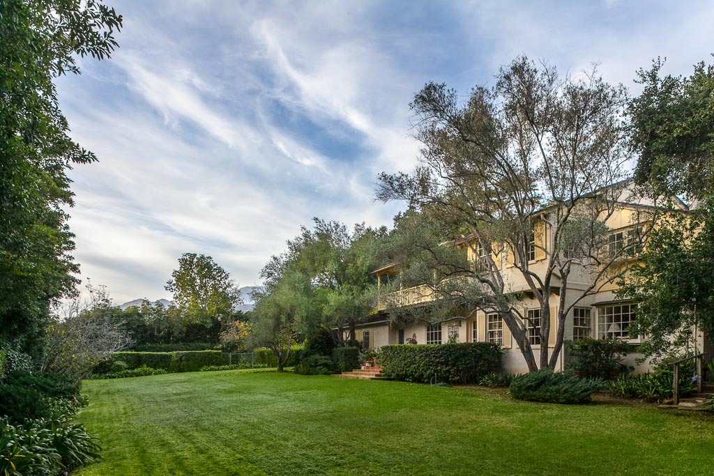 a view of a park with large trees