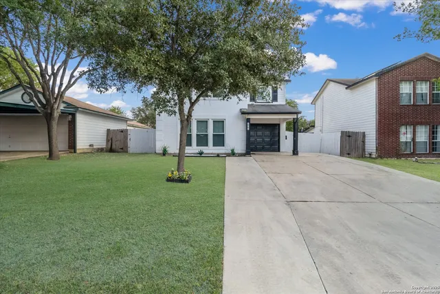 a view of house with yard and a tree