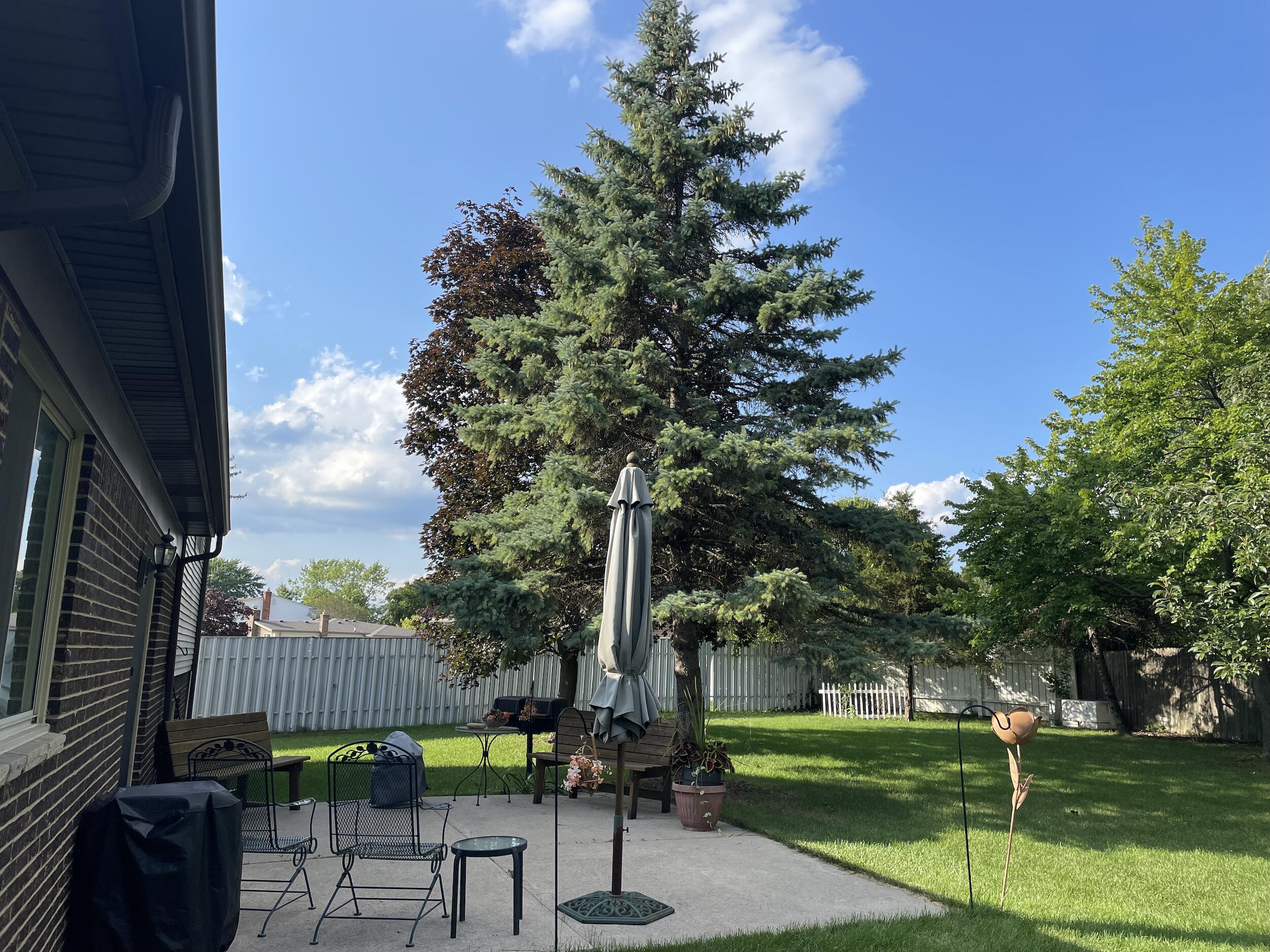 7244 Hillsboro Drive Canton, MI 48187 - Photo 4 of 33 Back yard