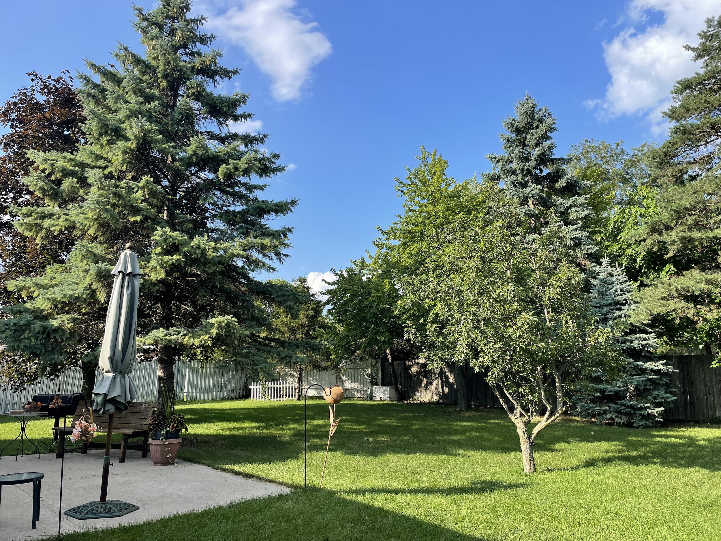 7244 Hillsboro Drive Canton, MI 48187 - Photo 5 of 33 Back yard