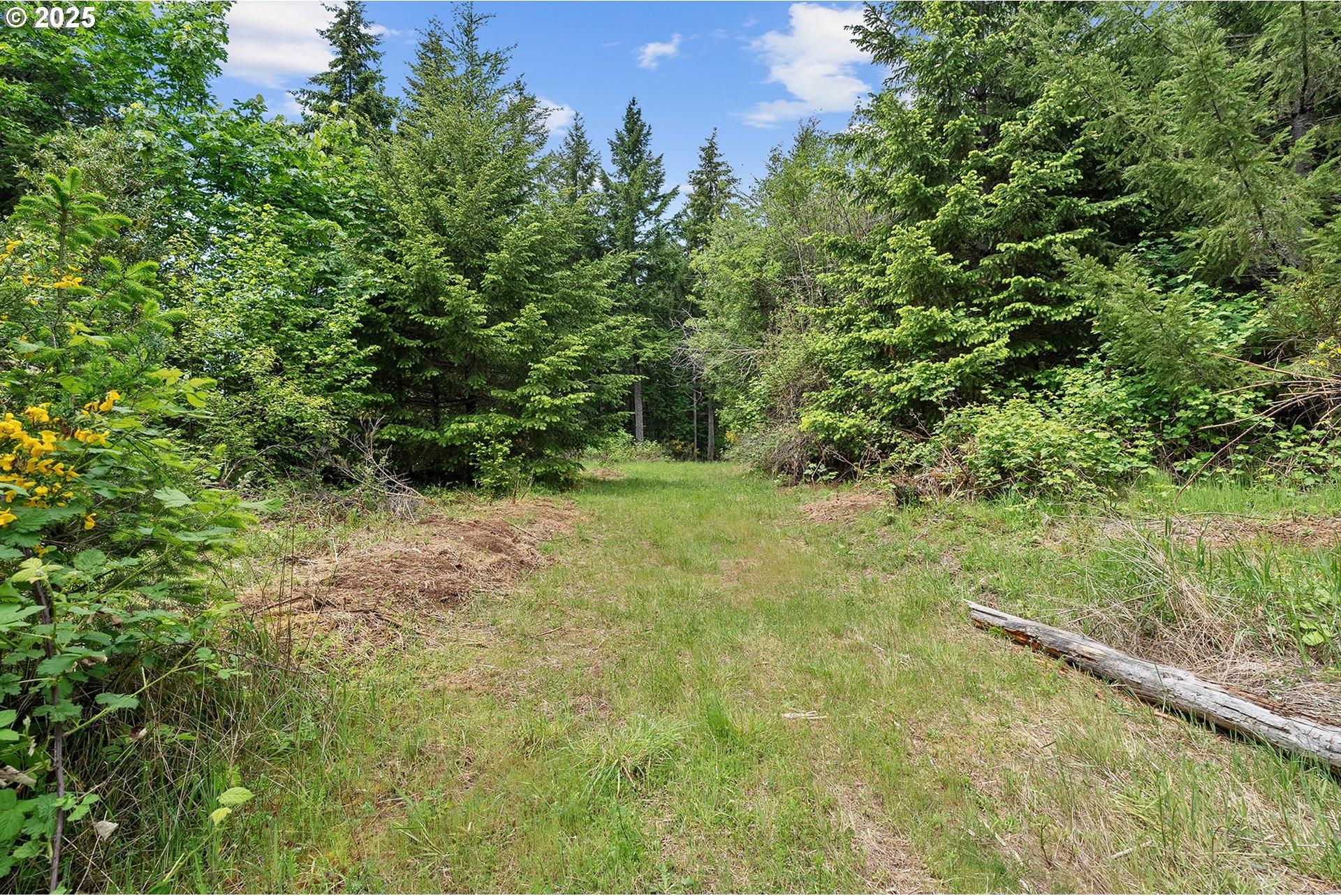 Northwest Pumpkin Ridge Road, Unit 400 North Plains, OR 97133 - Photo 9 of 36 Gallery Image 9