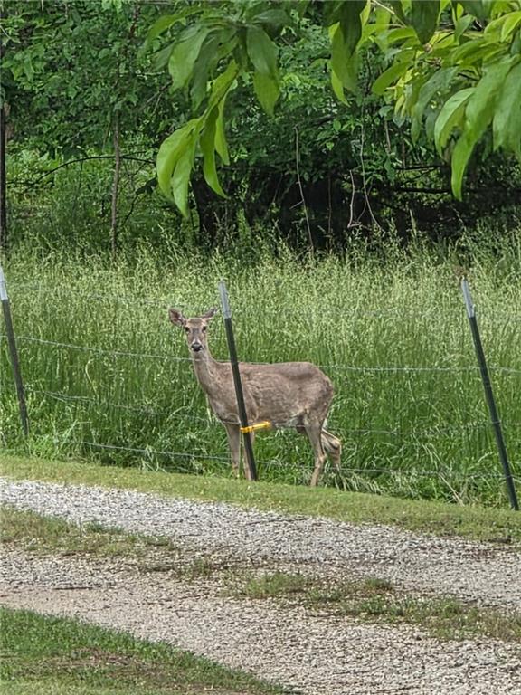 6895 Northeast 601 Road Osceola, MO 64776 - Photo 25 of 32
