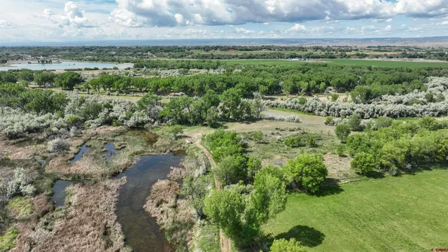a view of a yard with a street