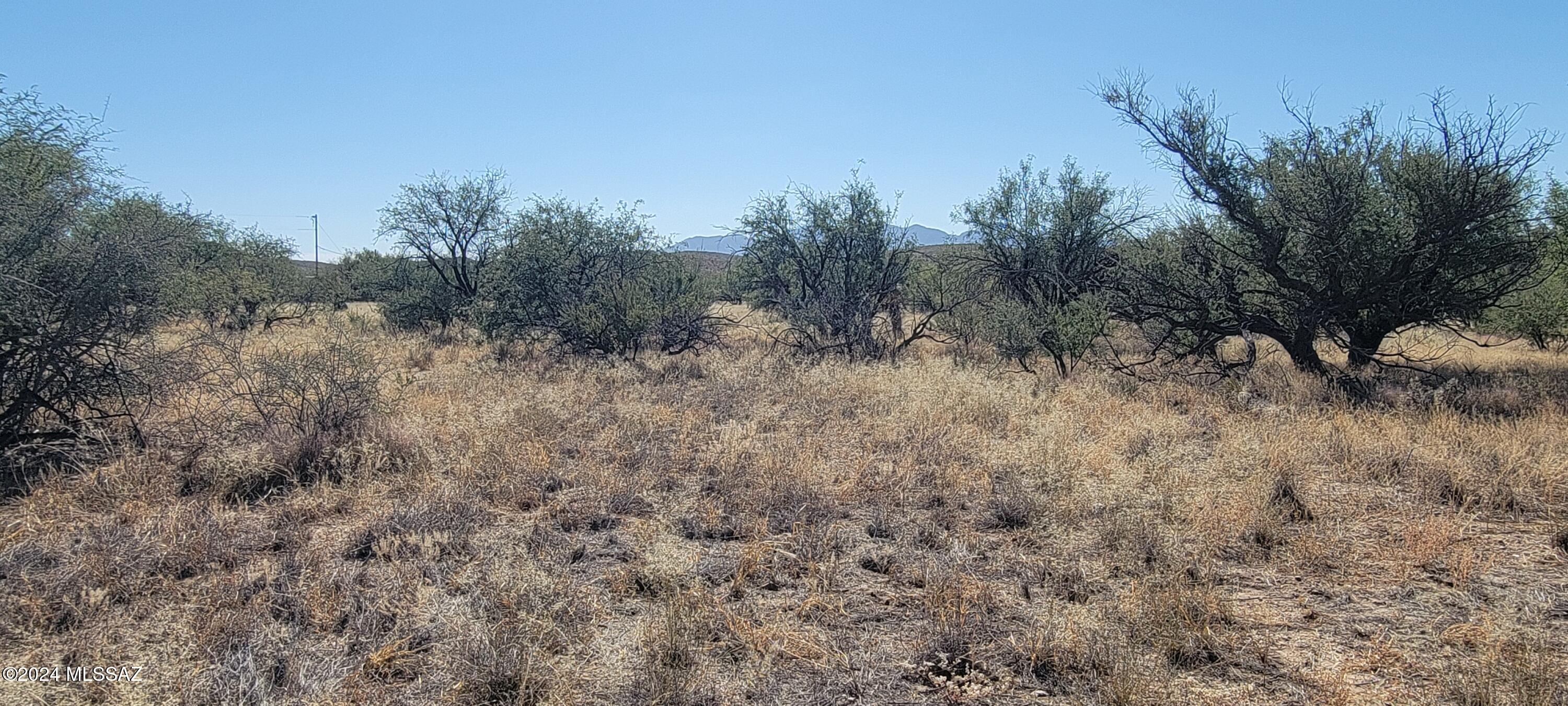 10-ac South Bell Road Benson, AZ 85602 - Photo 6 of 11 Gallery Image 6