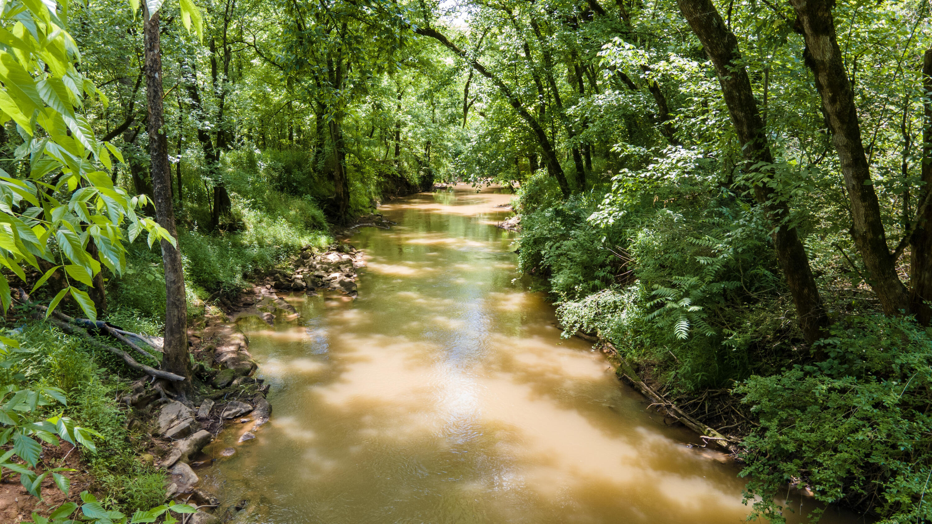 Lot 3 State Highway Calhoun, TN 37309 - Photo 4 of 9 4-21-DJI_0078