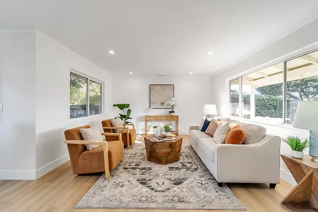 a living room with furniture and a potted plant
