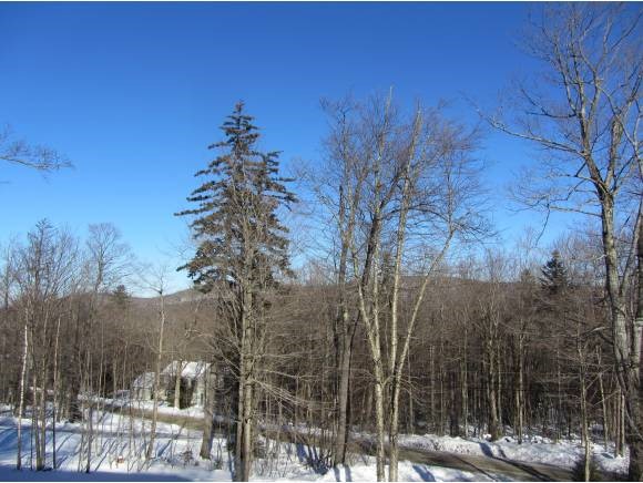 35 Johnson Hill Road West Dover, VT 05356 - Photo 25 of 28