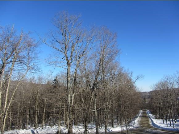 35 Johnson Hill Road West Dover, VT 05356 - Photo 26 of 28