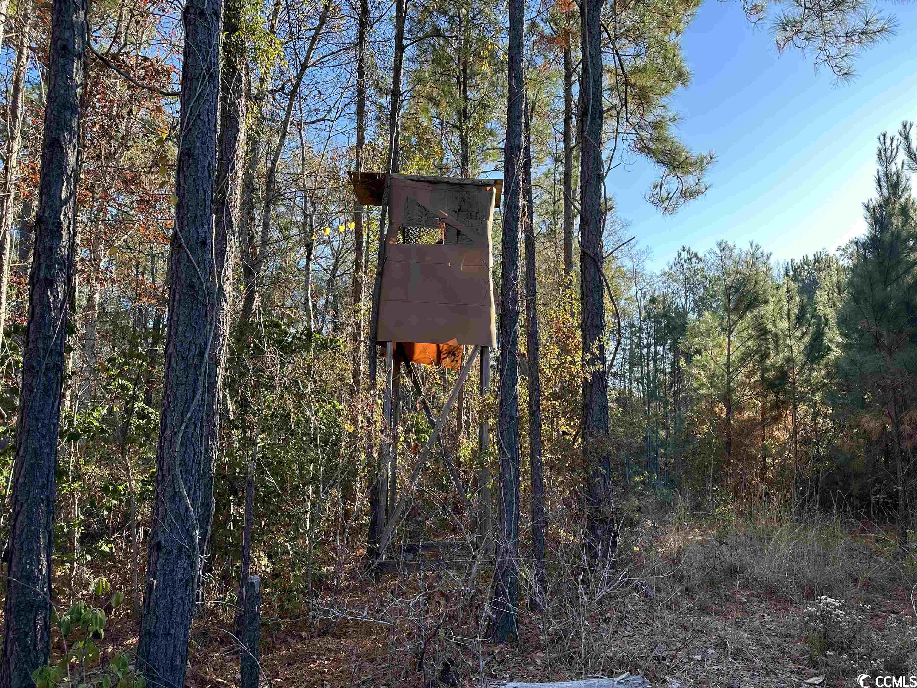 Tbt Richard Road Johnsonville, SC 29555 - Photo 3 of 26