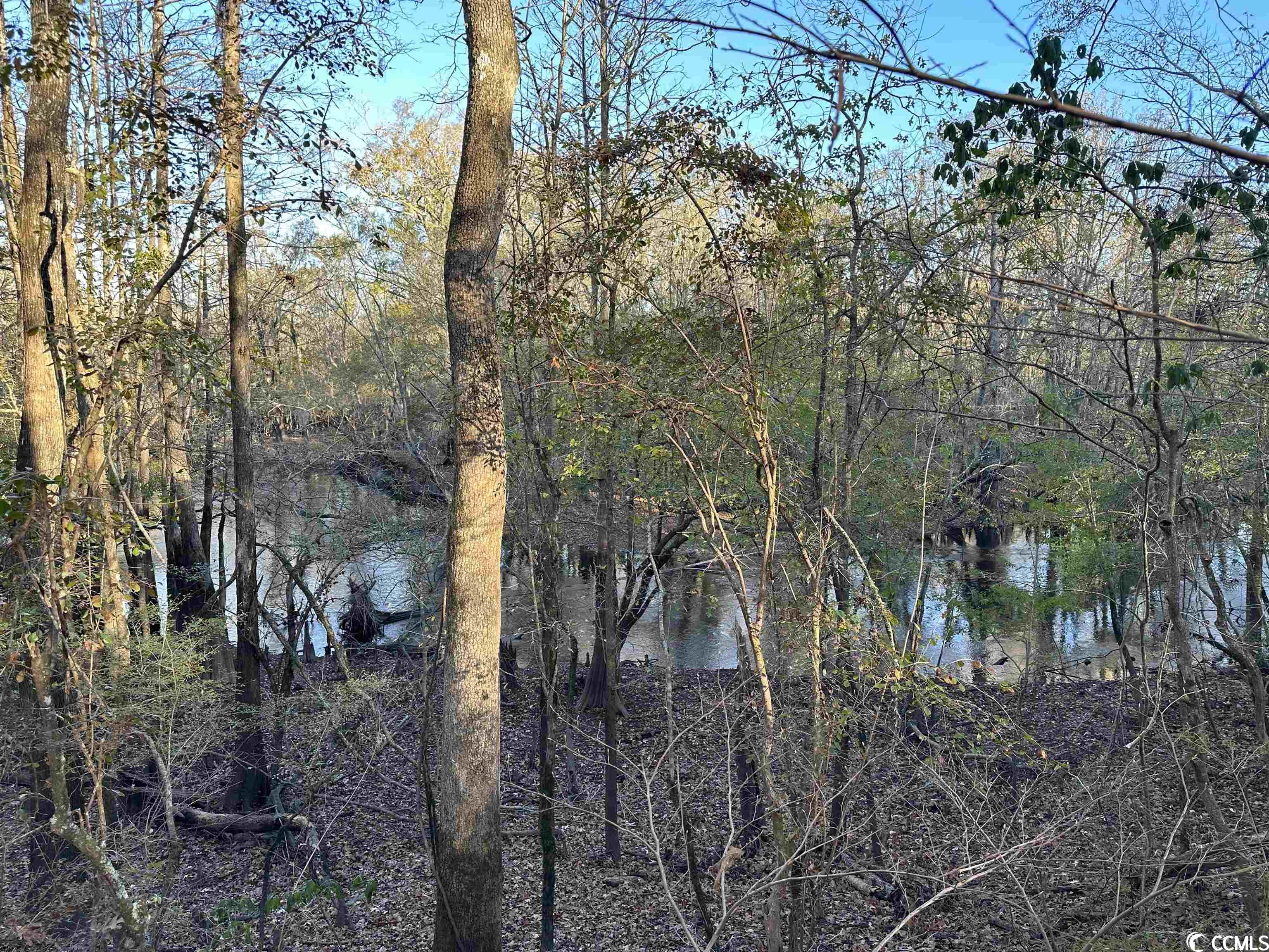 Tbt Richard Road Johnsonville, SC 29555 - Photo 9 of 26