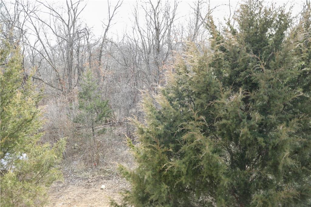 26103 East Blue Mills Road Independence, MO 64058 - Photo 59 of 78