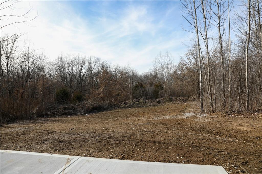 26103 East Blue Mills Road Independence, MO 64058 - Photo 68 of 78