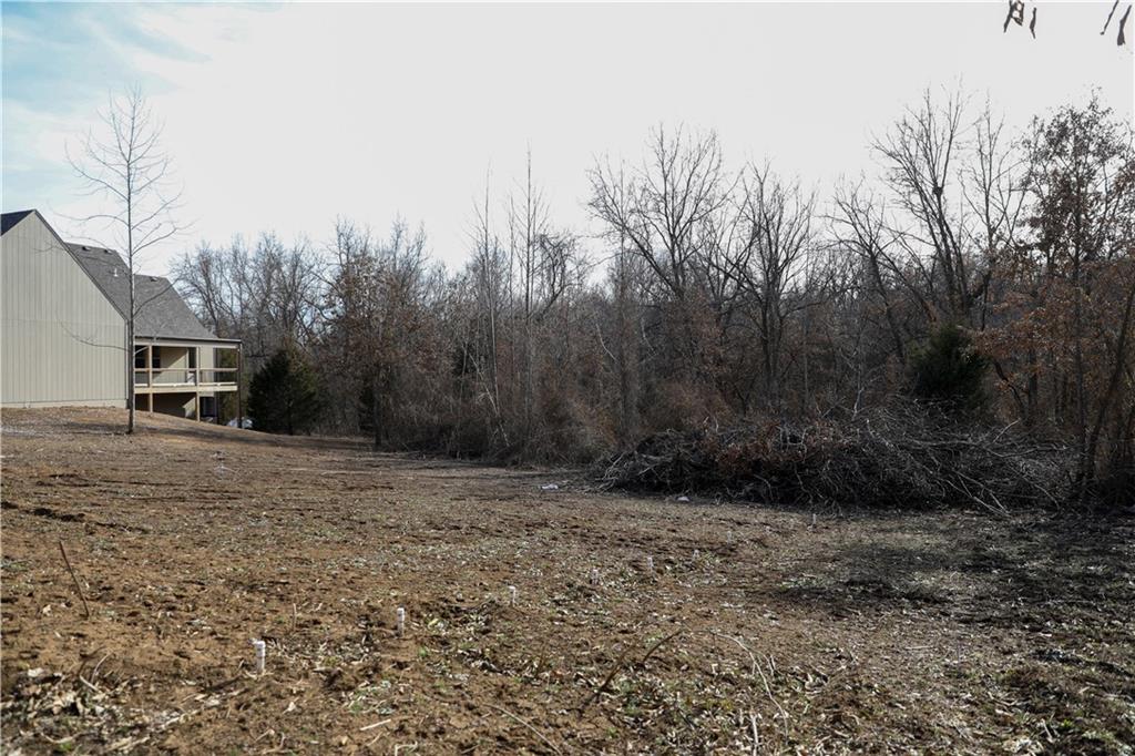 26103 East Blue Mills Road Independence, MO 64058 - Photo 72 of 78