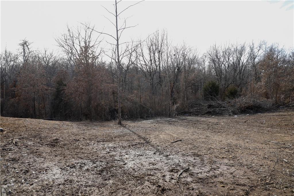 26103 East Blue Mills Road Independence, MO 64058 - Photo 76 of 85