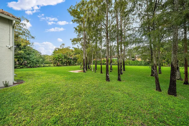 a view of a trees with a park