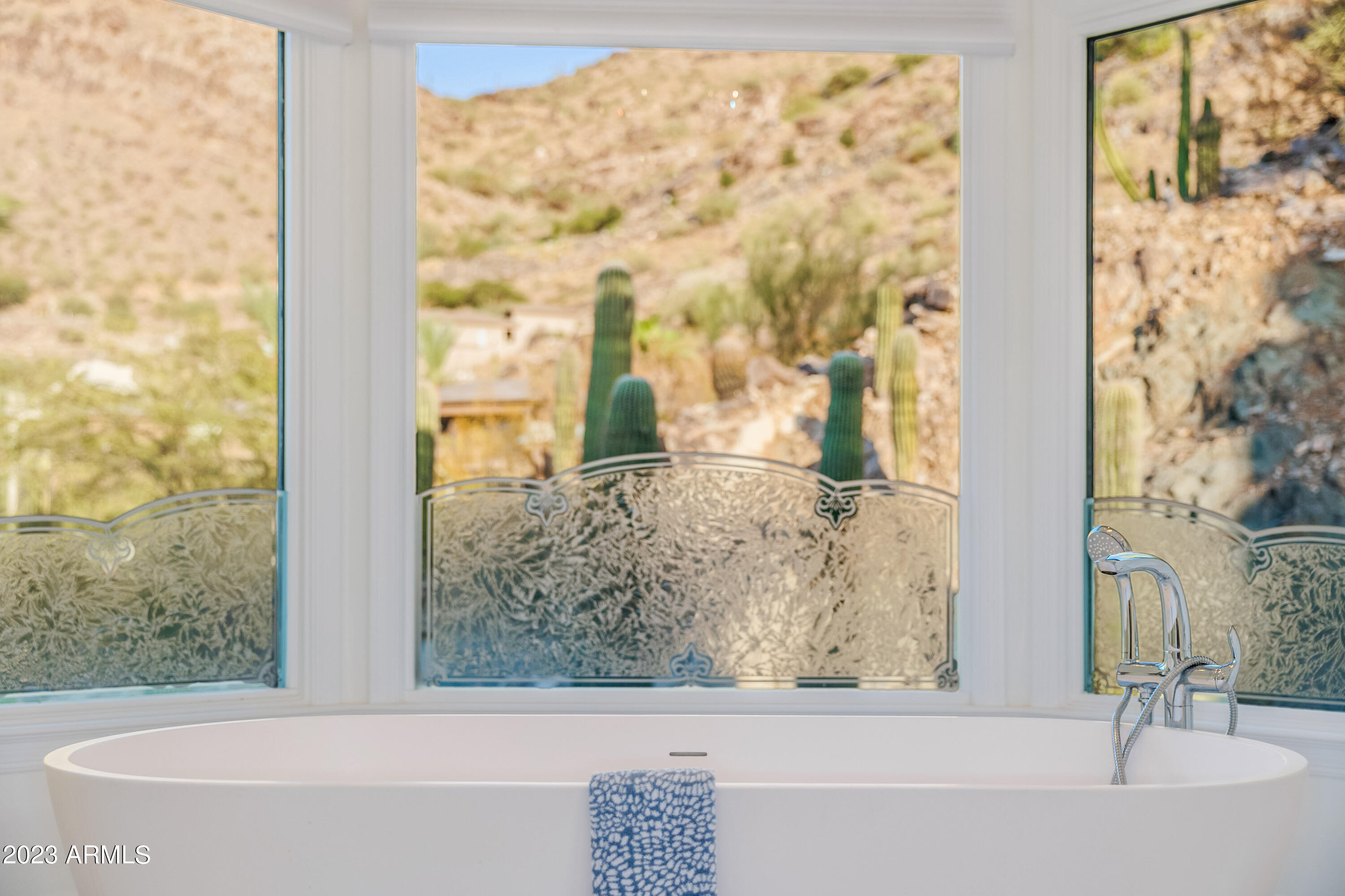 5339 East Desert Vista Road Paradise Valley, AZ 85253 - Photo 33 of 93 a bathroom with a bathtub and a shower