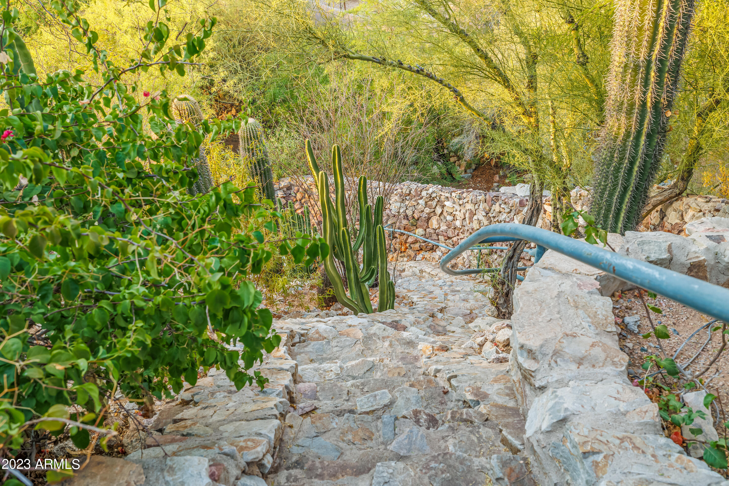 5339 East Desert Vista Road Paradise Valley, AZ 85253 - Photo 75 of 93 106-Desert Vista