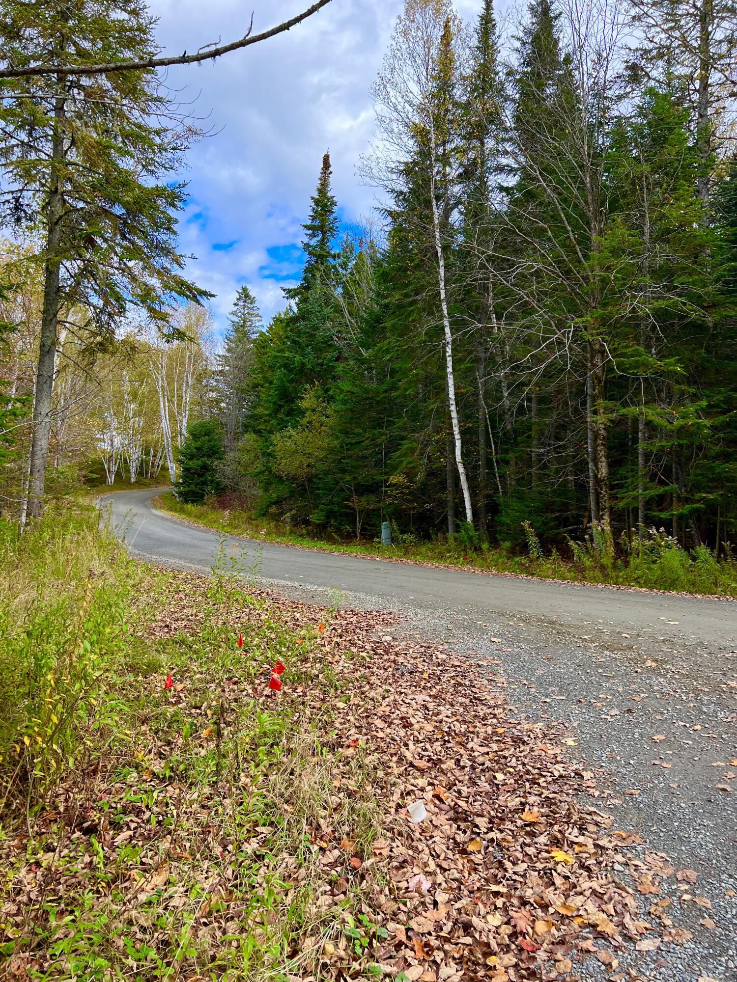 13-30 Overlook Road Sandy River Plt, ME 04970 - Photo 18 of 24 Peaceful