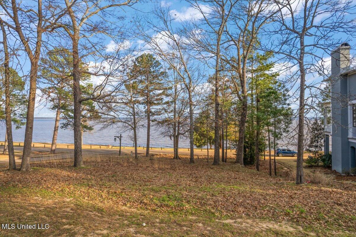 140 Old Trace Road Madison, MS 39110 - Photo 1 of 5 1-DJI_0059
