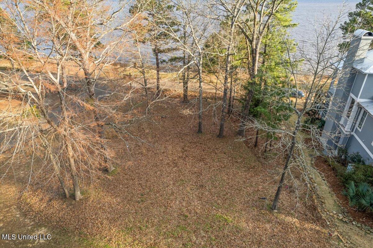 140 Old Trace Road Madison, MS 39110 - Photo 2 of 5 5-DJI_0064