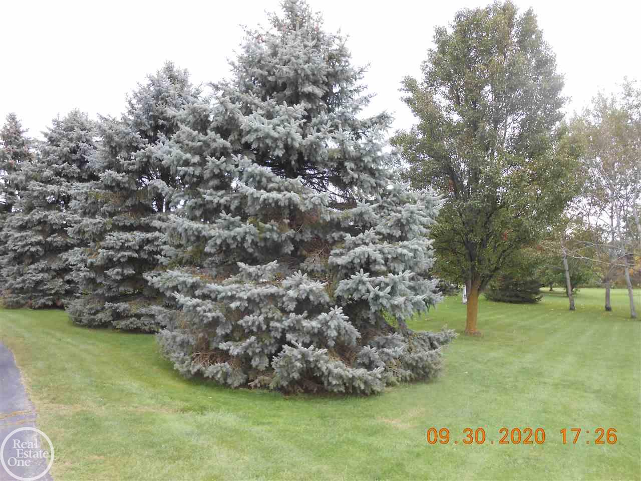 6946 Galbraith Line Road Lexington, MI 48450 - Photo 37 of 40