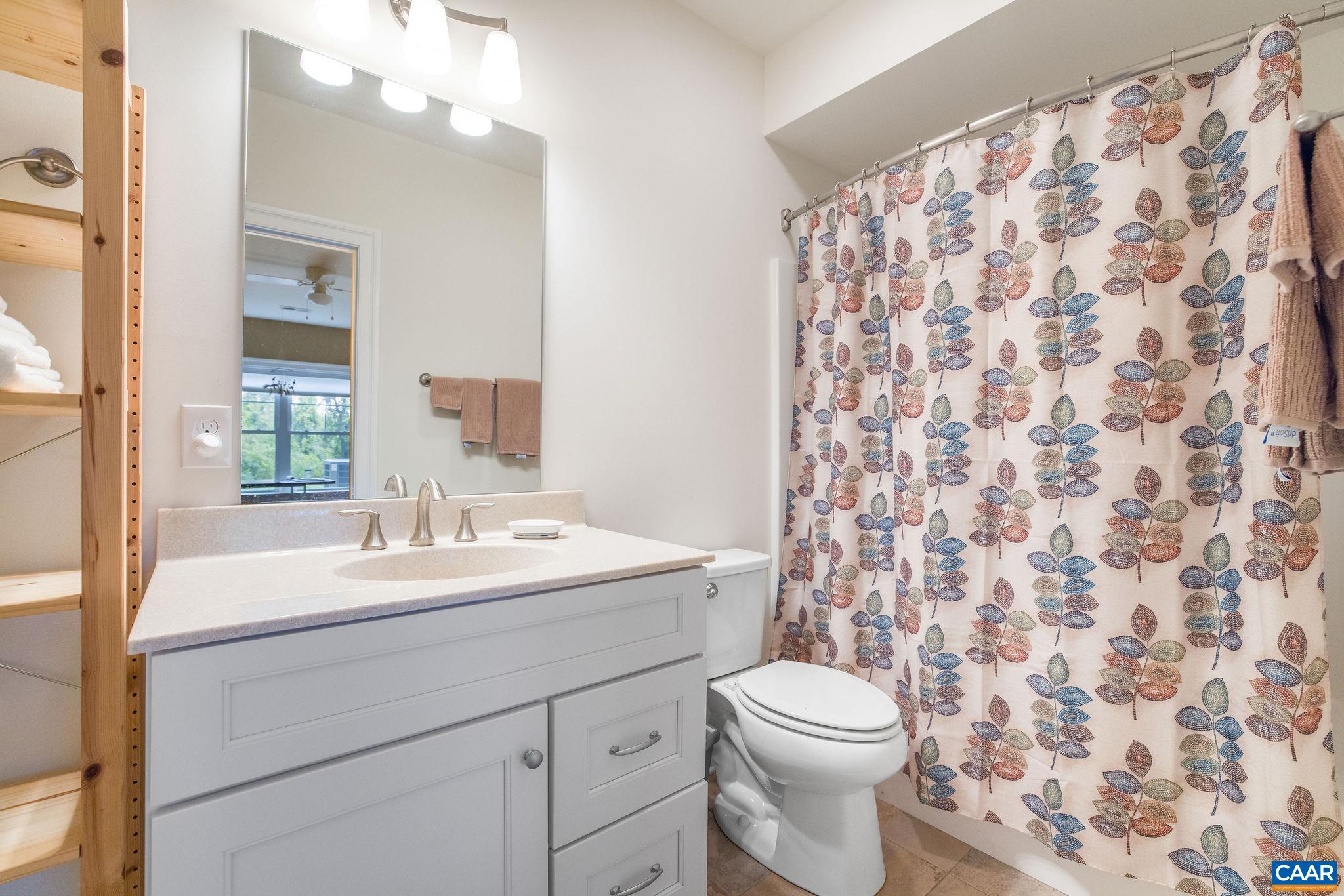 537 Trailside Drive Charlottesville, VA 22911 - Photo 43 of 52 a bathroom with a sink a toilet and a mirror